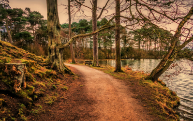 Cochrane bungalow near parks, pathways, and mountain views